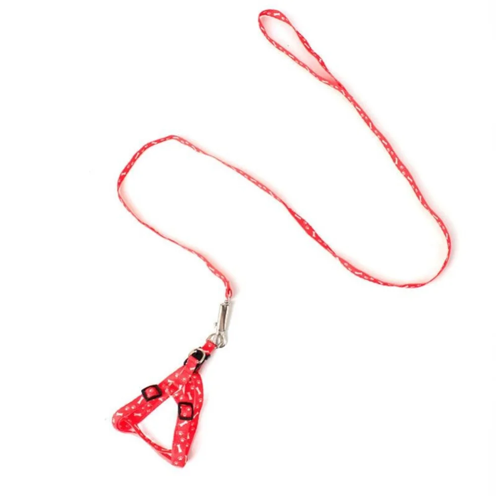 

Puppy Dog Leash Pet Teddy Dog Chain Leash Dog Leash Puppy Leash Bomei Small and Medium Dog Supplies Electronic Cigarettes Dress