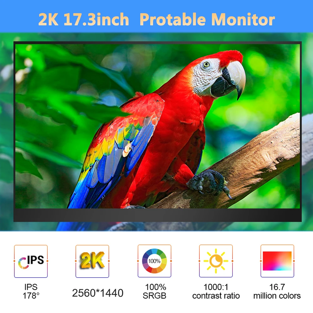 17 3 inch uhd 2k portable monitor 25601440 ips hdr 100srgb screen hdmi type c ultra thin gaming display for pc mac phone ps4 5 free global shipping