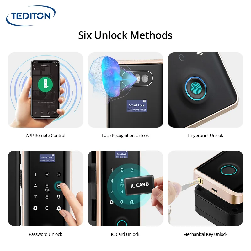Tediton Anti-theft 3D Face Id Intelligent Glass Door Lock Smart Home APP Face Recognition Door Lock enlarge