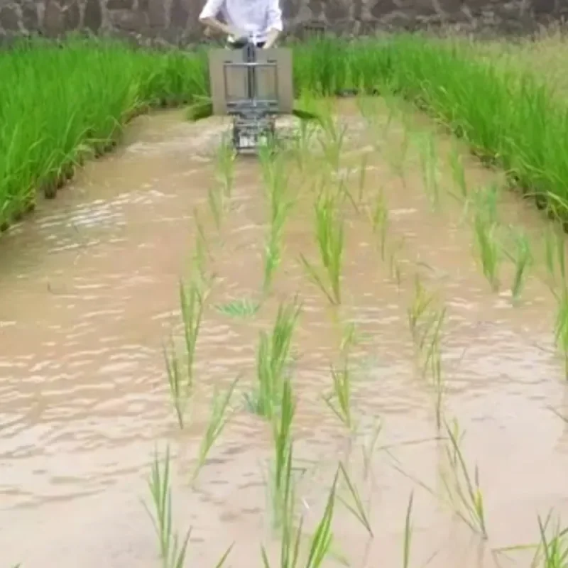 Ручной сеялка для риса Ручная перца Поек-желтая под рассады