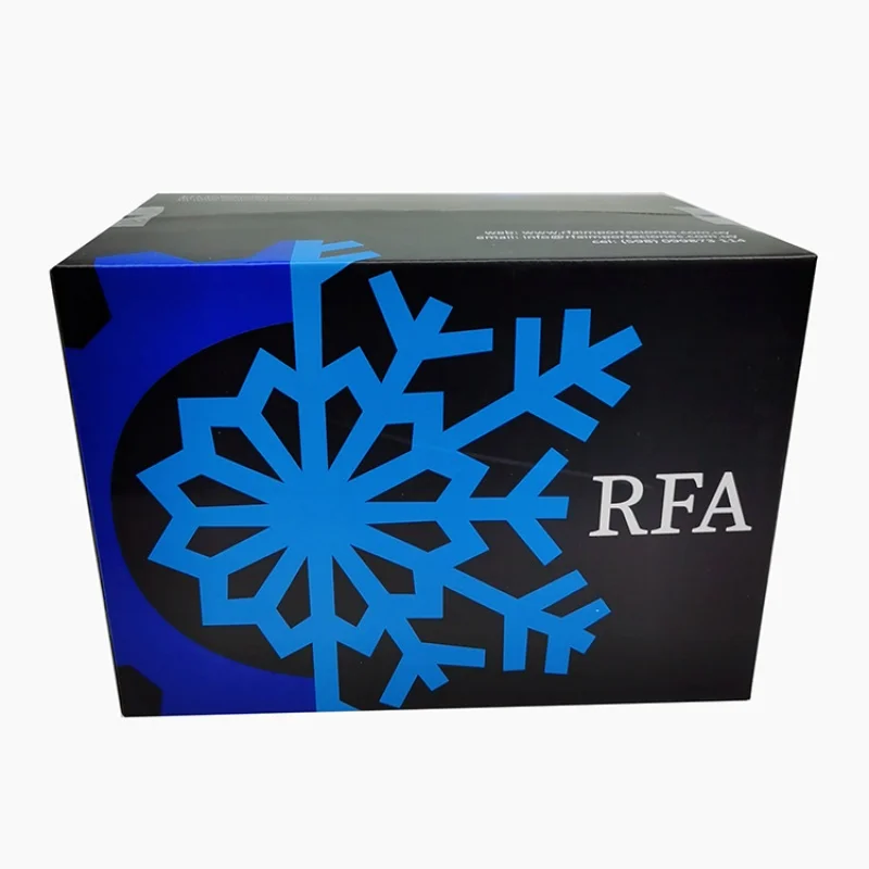 

SENCAI Wholesale Customized Gift Packaging Corrugated Black Color Shipping Carton