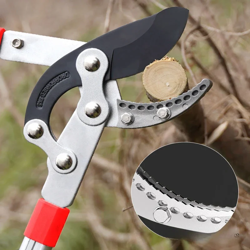 Фото LS дозвоateur Long En Acier SK5 Pour Arbres Fruitiers, Ciseaux De Jardin, Outils À Main №3