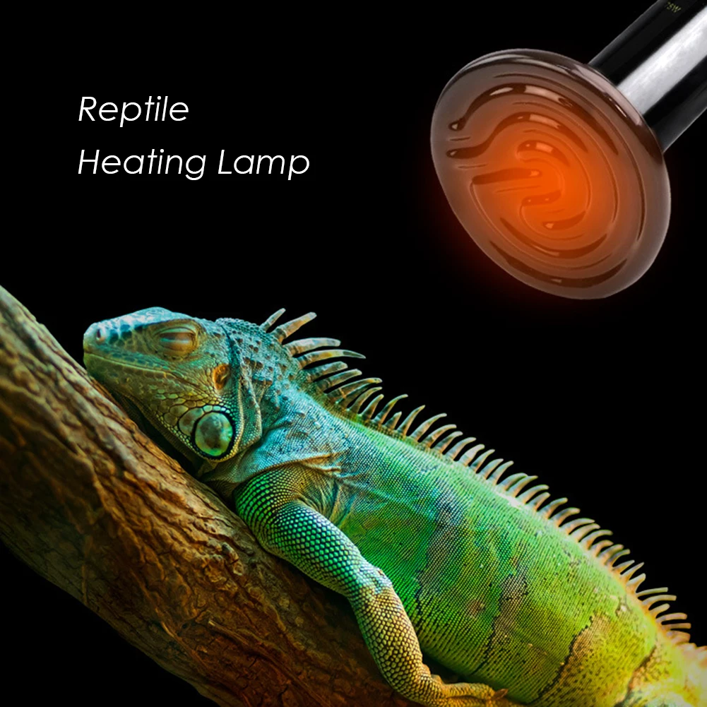 

Infrared Ceramic Pet Heating Lamp Reptile Light Brooder Chicken Turtle Basking for Household Turtle Care Accessories