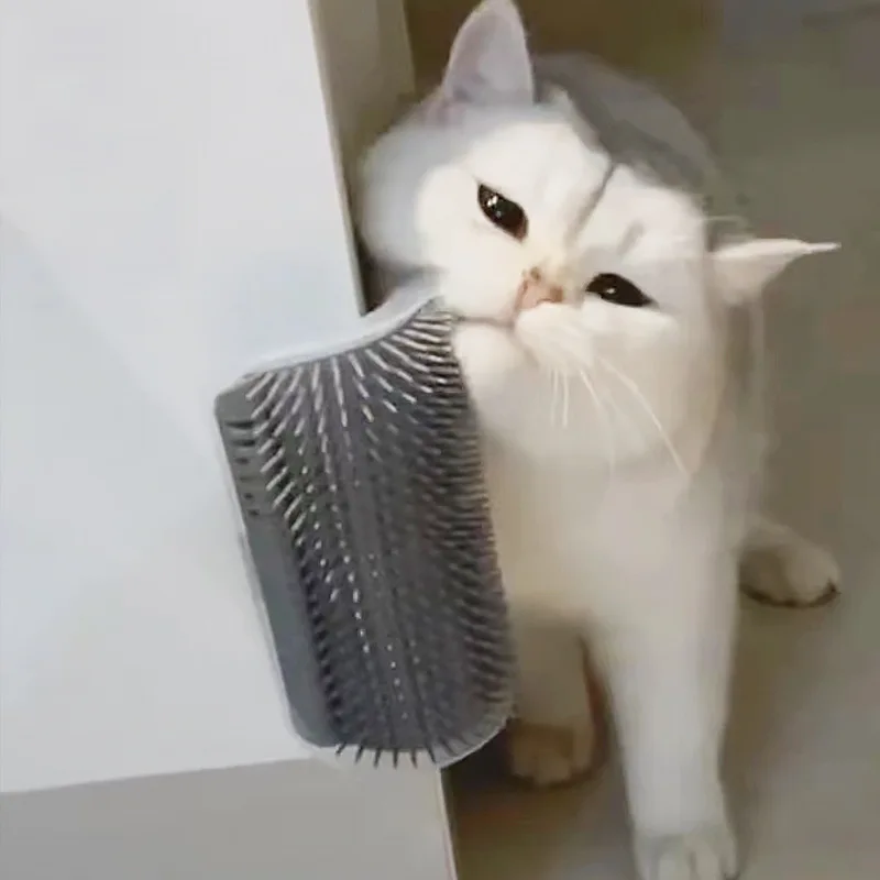 Eco-friendly Plastic Massage Comb Household Pet Cat Supplies Ssj84