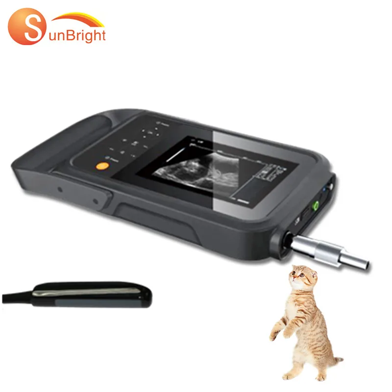 

Portable ultrasound veterinary equipment veterinary ultrasound machine