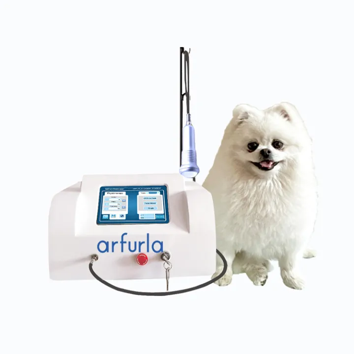 Easy to Operate Veterinary Laser Therapy Equipment for pet treatment 980nm diodemachine