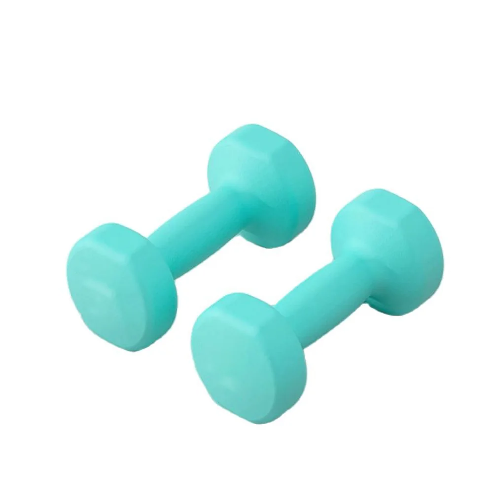 

Small Dumbbell Exercise Fitness Dumbbell Training Arm Muscle Weight Loss Equipment Frosted Material Comfortable Grip Safe