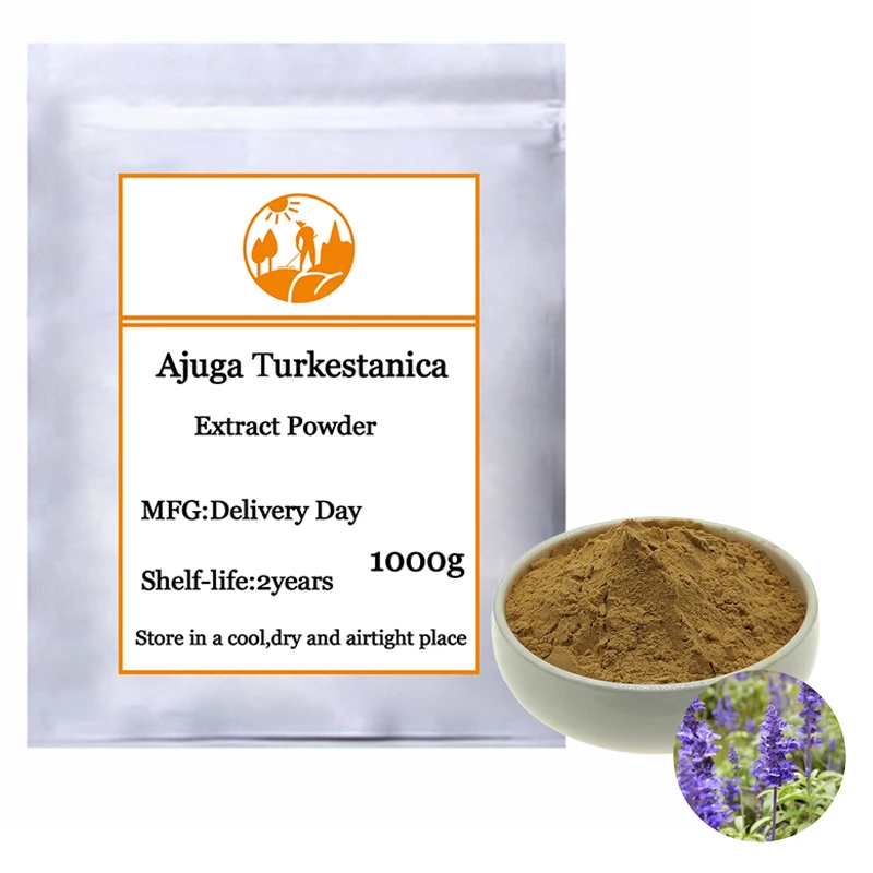

High Quality Ajuga Turkestanica Extract Powder 10:1 Powder