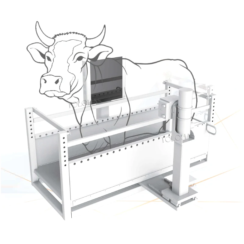 LHWRV80B Ветеринарная цифровая радиологическая система изображений ферма лошадь