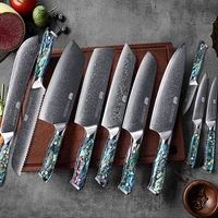 findking 10 pcs gorgeous series 67 layers damascus steel kitchen knives sets abalone resin handle butcher steak chef knife set