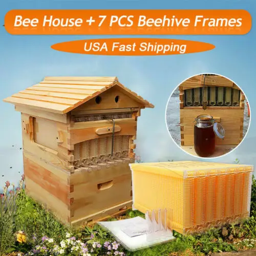 

Beehive Wooden Box Bees House Automatic Beehive Frames Beekeeping Equipment Beekeeper Tool Honey Collection for Bee Hive Box