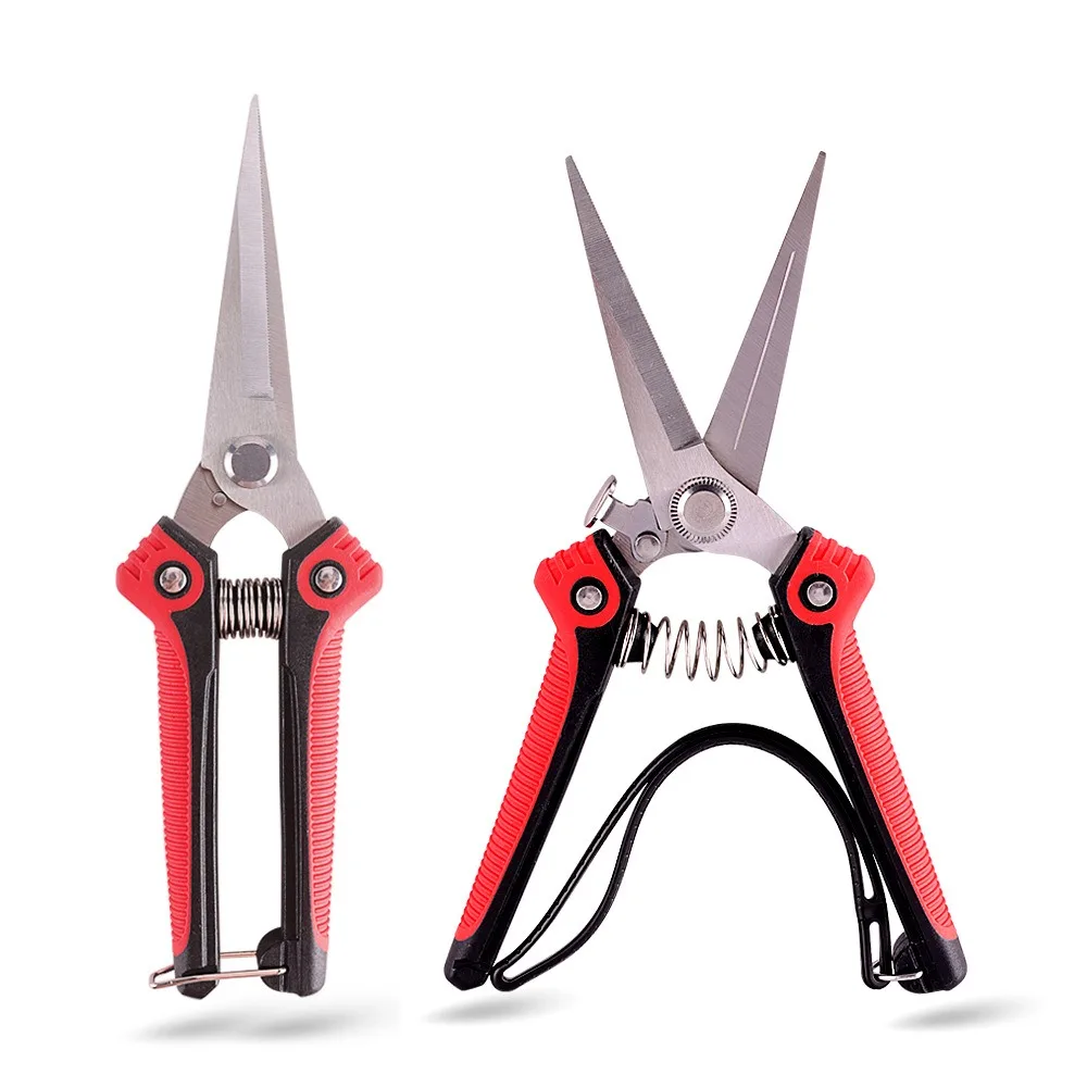 Аэрозольные Секаторы. Острые Садовые Сбор Ветвей Фруктов И Овощей. Инструменты