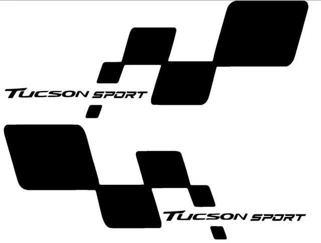 

10cm x 30Cm Tucson Door Bottom Sport Yazısı Checkered Flag