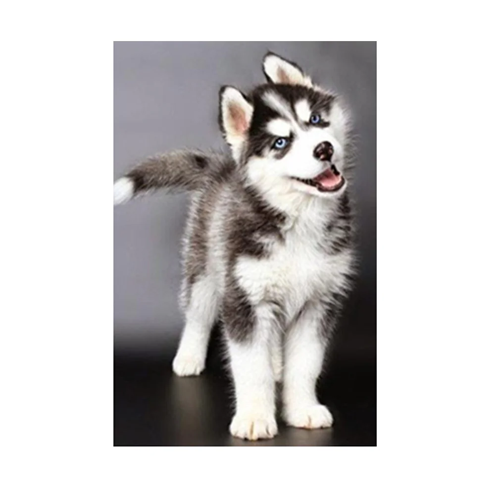 

Frameless 5D Diamond Embroidery Painting of Dog Handmade Wall Decoration Cross Stitch Printing Craft Kits