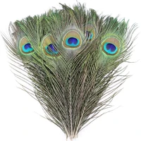 10pcslot natural peacock feathers for crafts table centerpieces peacocks sword decorative feather diy handicraft accessories