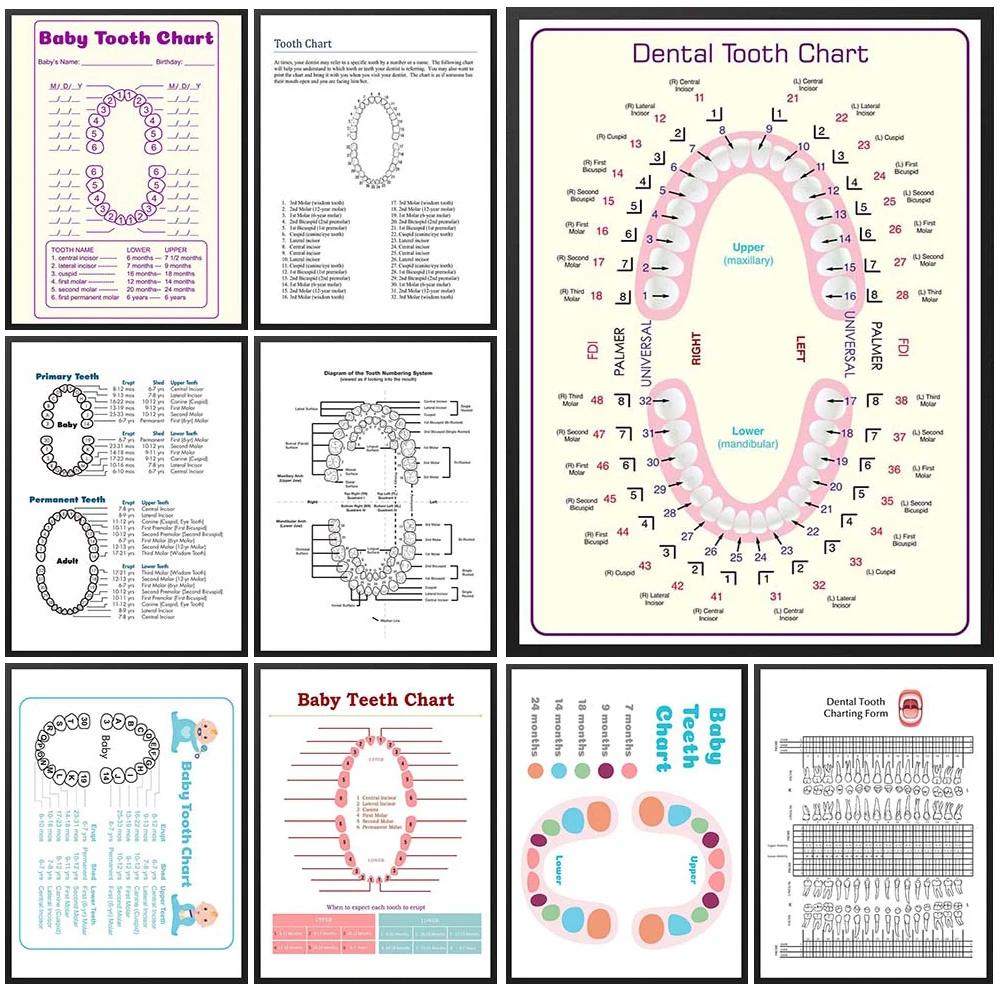 Детская Таблица зубов стоматологический педиатрический постер для стоматологии