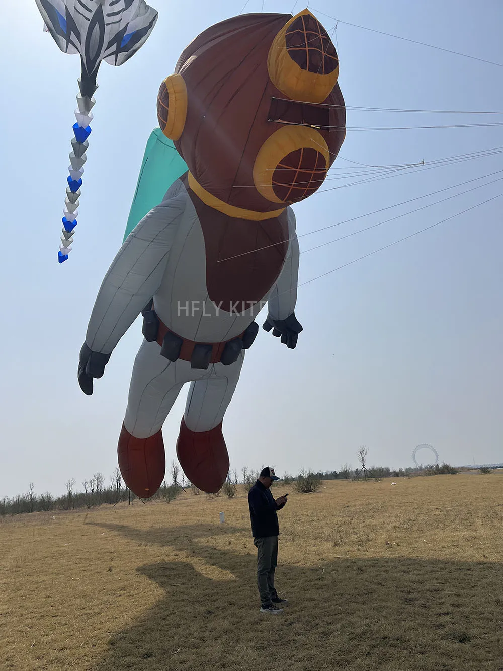 Новинка HFLY: Мягкий надувной большой 10-метровый воздушный кайт для взрослых, высококачественный нейлон 40D, подвесной декоративный воздушный кайт. (art.: 3920dced0f6ca) - 3920dced0f6ca