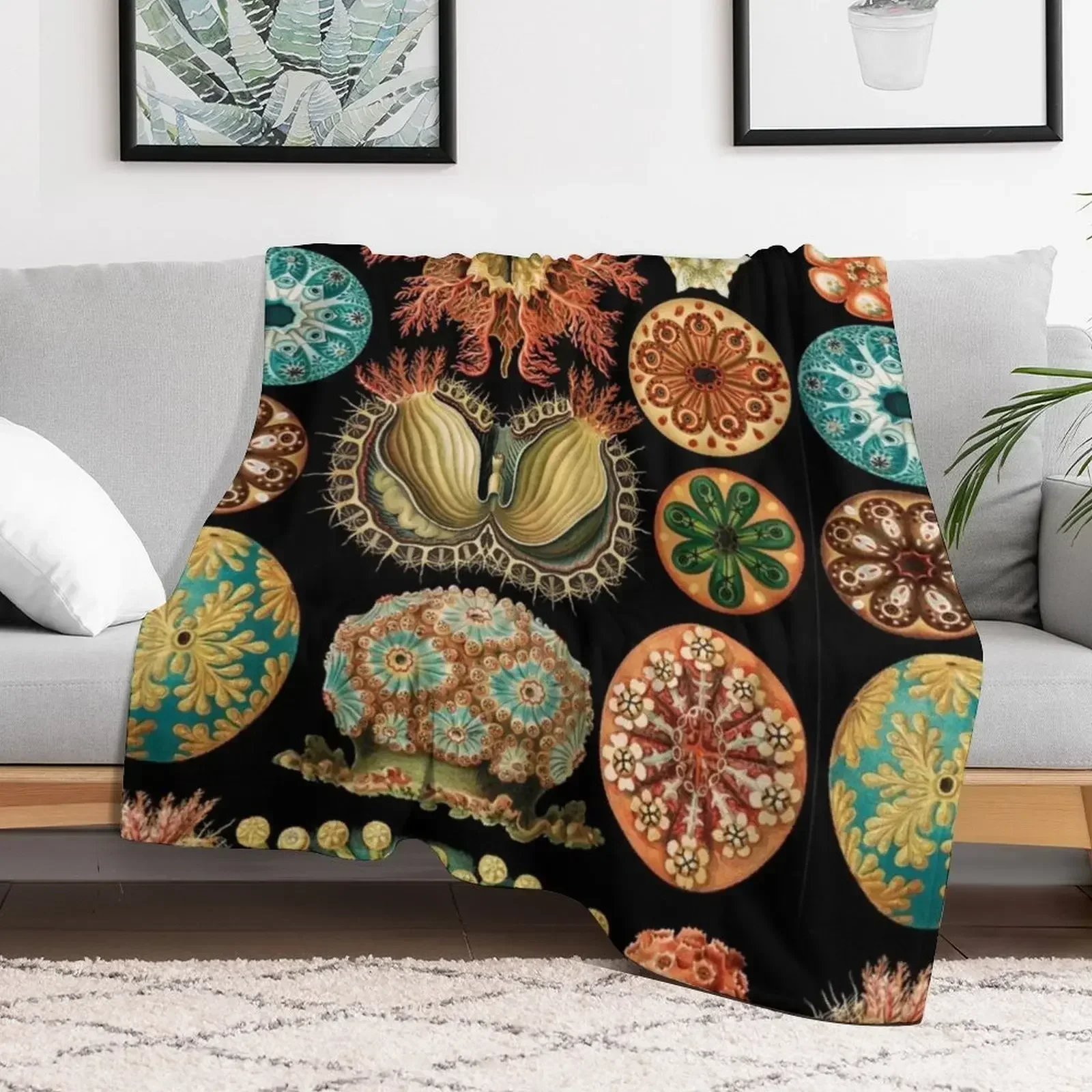 Ascidiacea - одеяло с морскими белками идеи подарков на День святого Валентина для