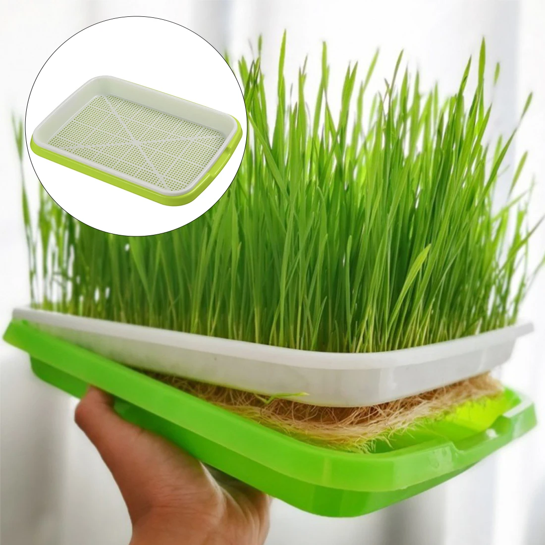 

1 Pc Hydroponics Bean Sprouts Grow Dishes Plate Plant Seedling Germination Nursery Tray Flower Plant Home Garden Nursery Pot