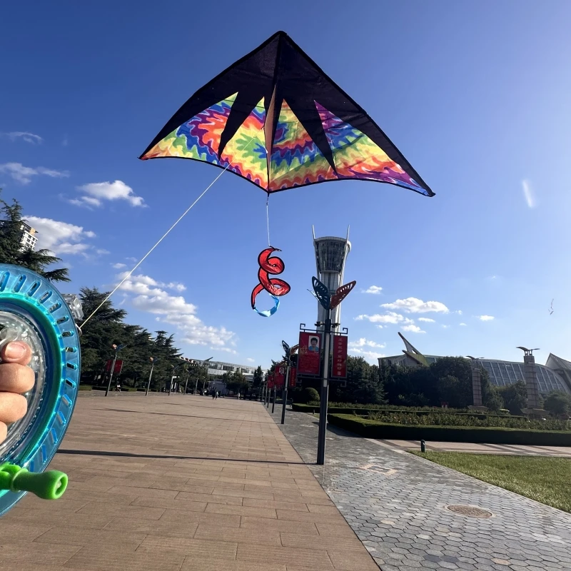 Воздушный змей delta профессиональный кайт для детей Летающий Кайт серфинга с