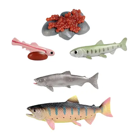 Жизненный цикл лосося, игрушки, научный цикл роста животных, набор обучения