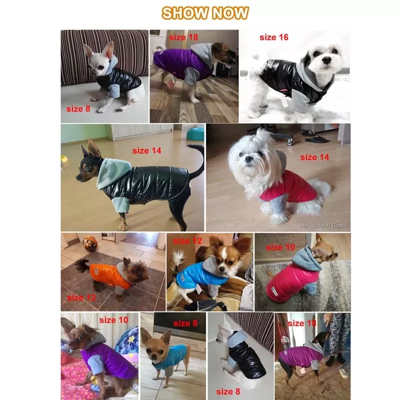 Цветное зимнее пальто для домашних животных размеры 8-18 |