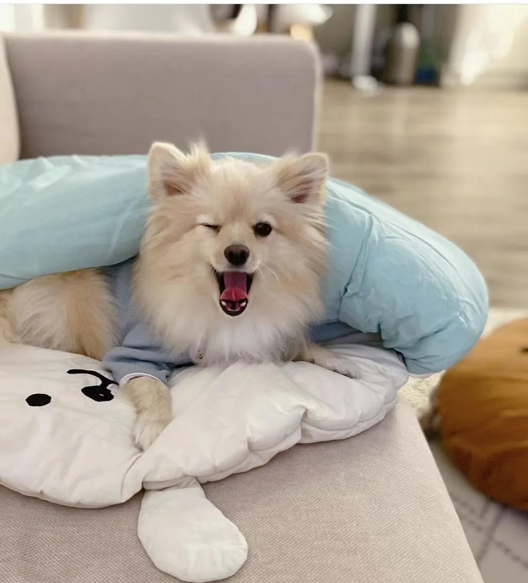 

INS Summer Pet Cool Feeling Sleeping Bag Dog Kennel Ice Silk Lyocell Dog Mat Puppy Air Conditioner Pet Supplies Dog Accessories