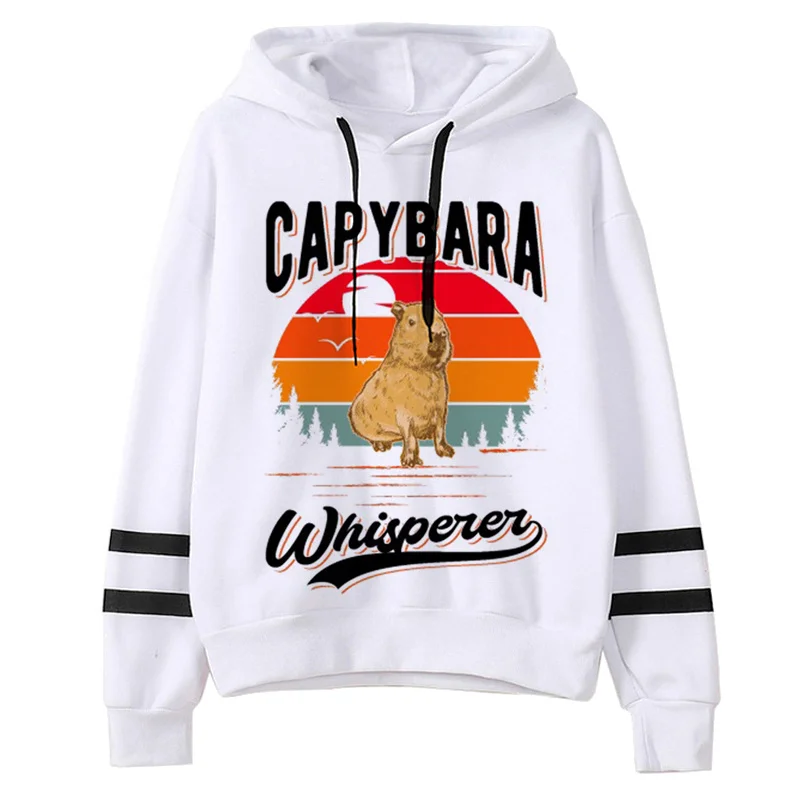 

Женские толстовки capyбара Ulzzang, уличная одежда в стиле гранж Харадзюку, женская одежда, пуловер в стиле хип-хоп, Харадзюку