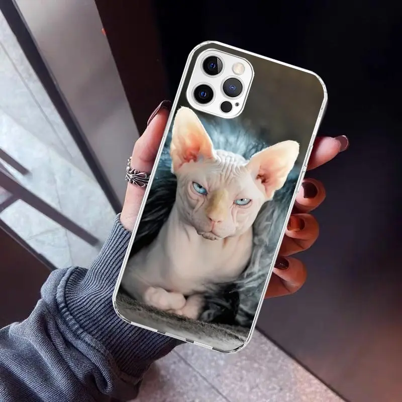 Lavaza Sphynx Sphinx Cat Phone Case for Apple iPhone 16 15 14 Plus 13 12 Mini 11 Pro Max X XR XS 7 + 7G 8G SE 2020 Soft Cover