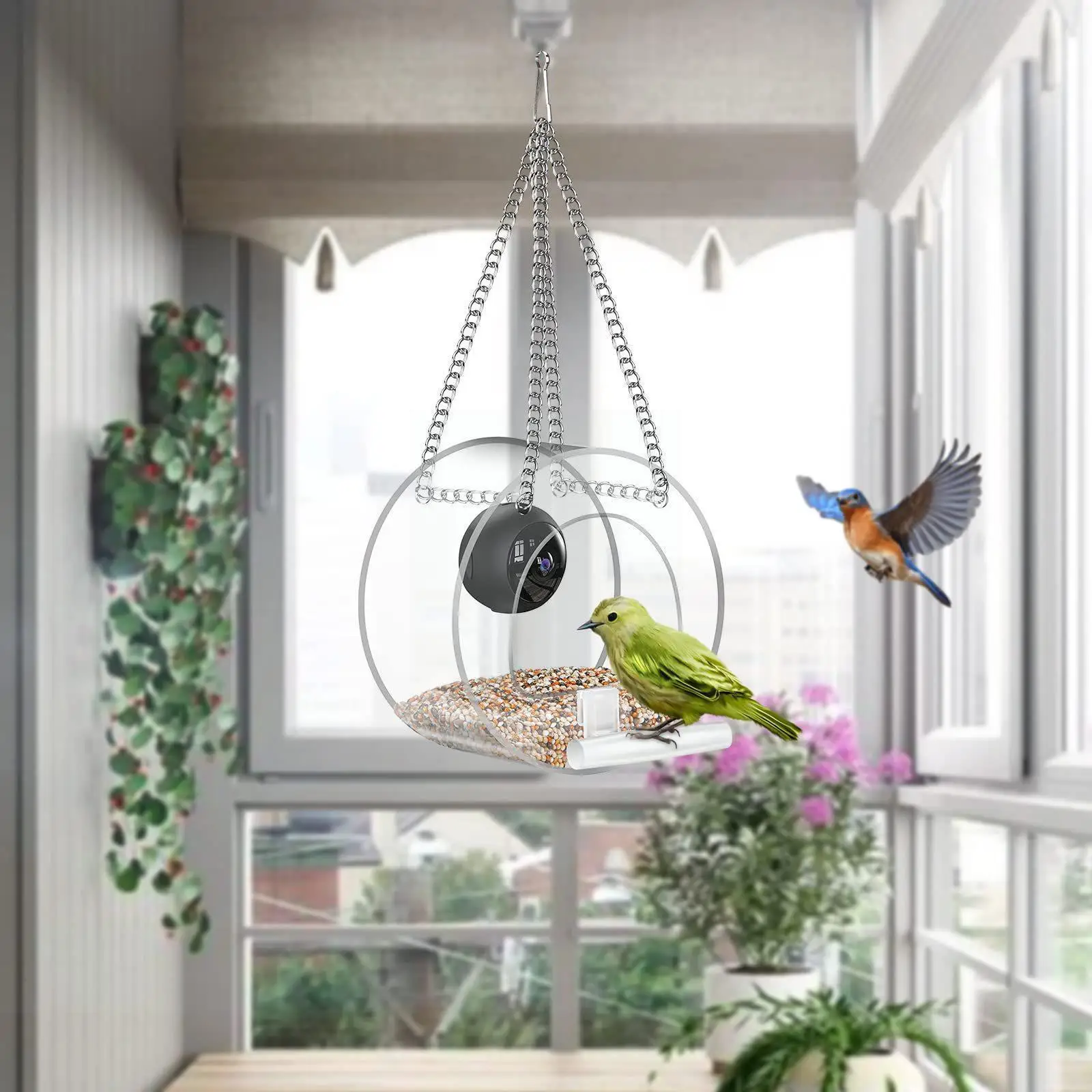 

Bird Feeder Camera 170° Ultra Wide Angle Mini 1080p Bird Feeder Camera For Bird Lovers Bird Photos Night Camer J0k9