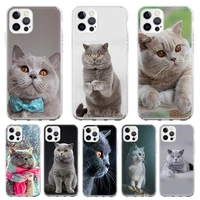 silicone case coque for iphone 13 pro max 11 12 pro xs max x xr 7 8 6 6s plus se 2020 british shorthair cat back cover funda