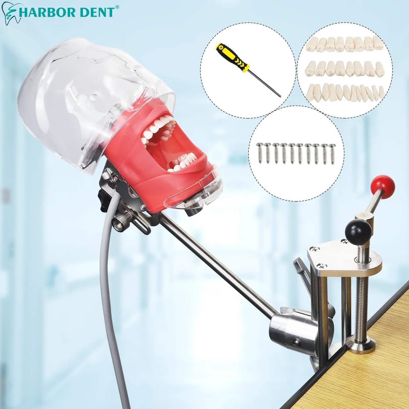 Стоматологическая фотоформа с 28 зубцами зажим настольного типа Фантом манекена