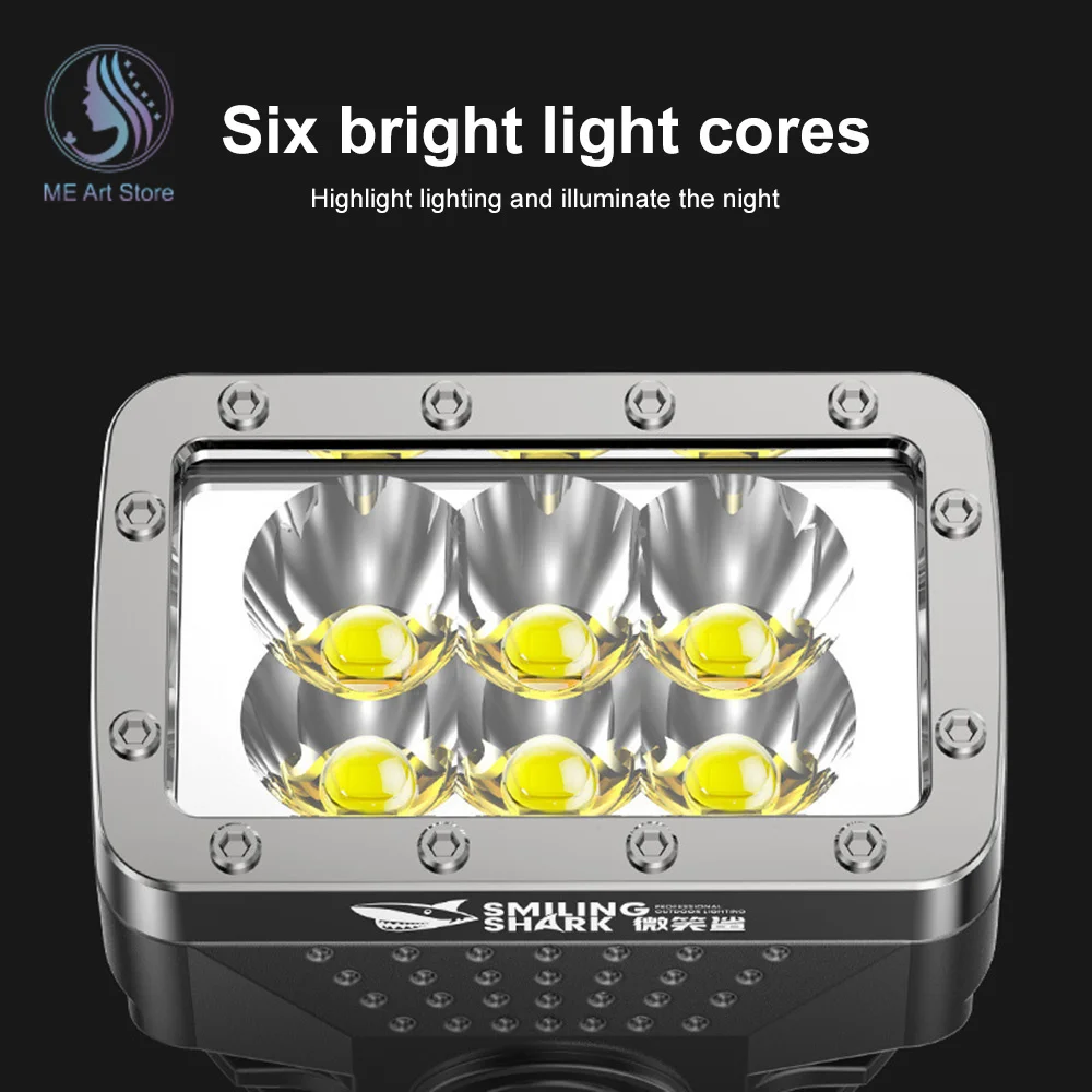 Рисунок 6 - Фонарик с 6 светодиосветодиодный