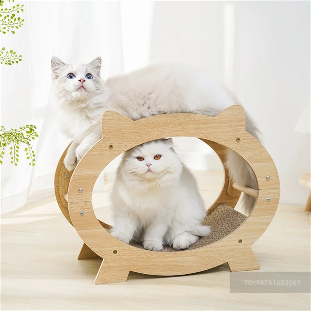 

Cat Products Pet Relieve The Boredom Cat Nest Replaceable Tv Pet Supplies Cats Nest Cat Catch Board