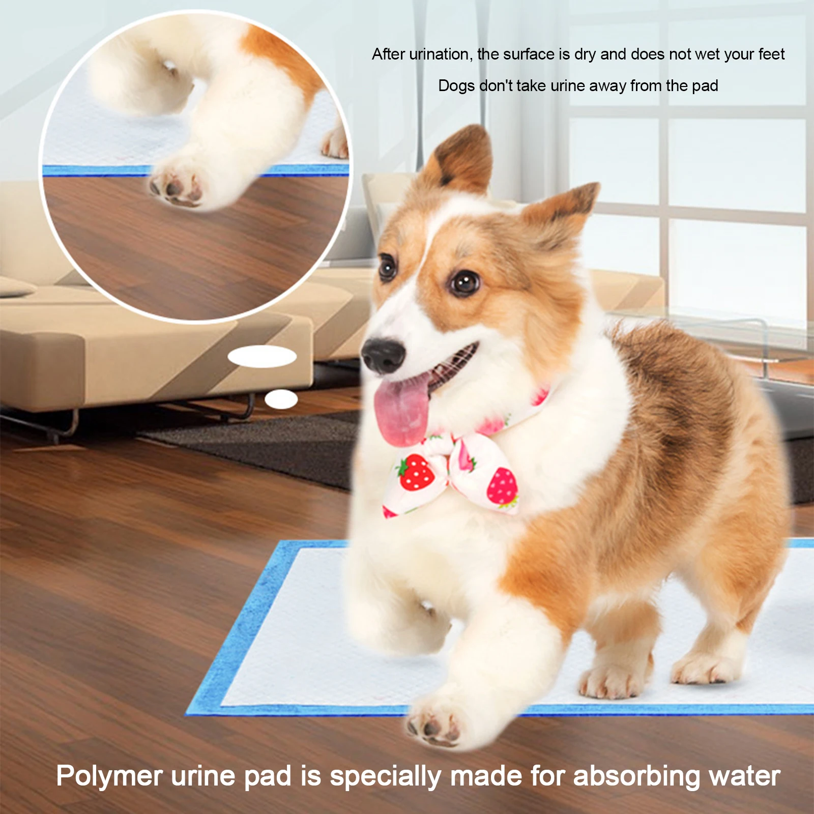 50Pcs Super Absorbent Pet Diaper Dog Training Pee Pads Disposable Urine Nappy Mat For Cats Diapers Cage Supplies |