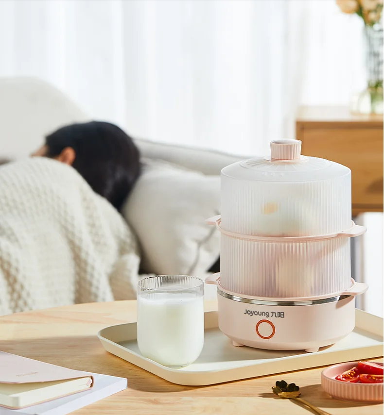 Электрическая яйцеварка для домашнего приготовления 220 В 2 слоя |