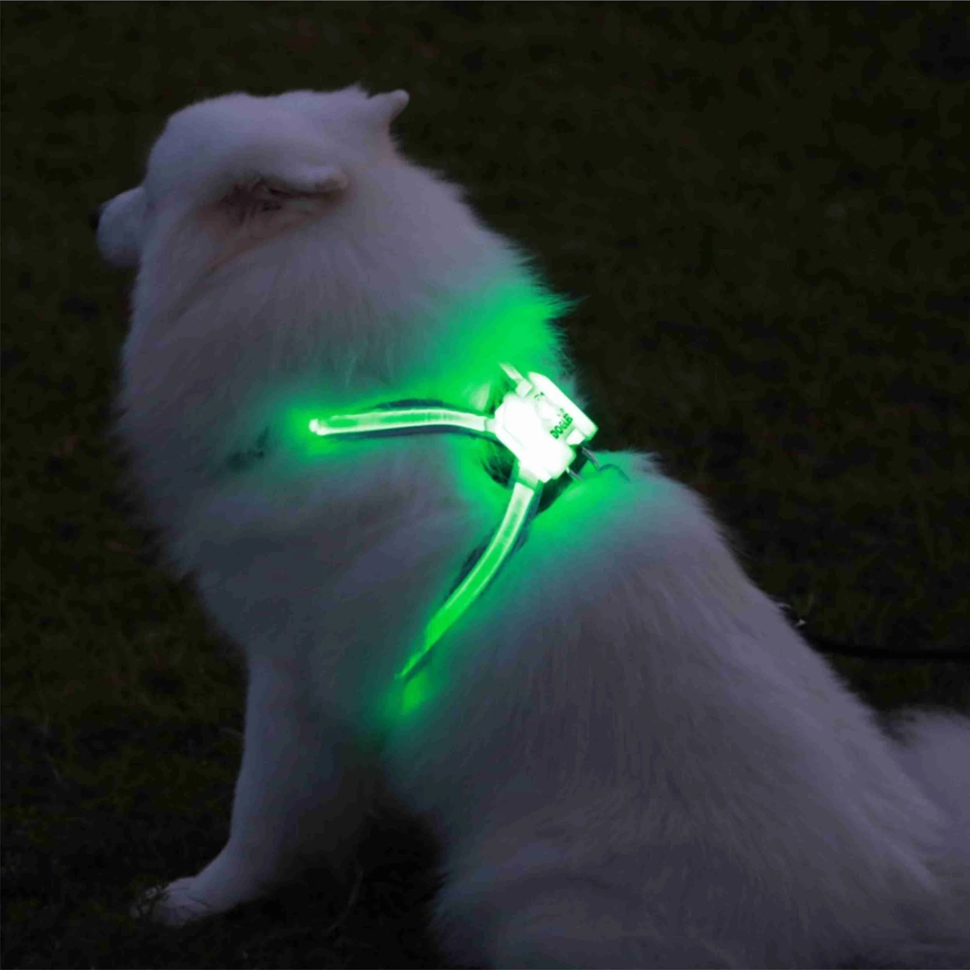 

LED Pet Simon Dog Collar Night Safety Flashing Dog Collar and Leash Set Solar USB Rechargeable Waterproof Harnesses Reflective