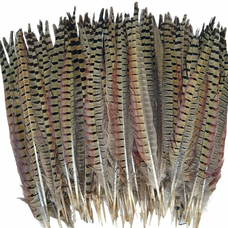 

Wholesale 10-70CM 4-28” Natural Ringneck Pheasant Tail Feathers Christmas Wedding Center Pieces Decor Plumes for Crafts Carnival