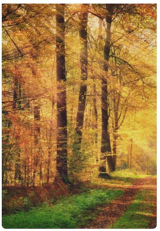 

Garden Flag Summer House Flags Hello Beach Sea Conch Home Yard Banner for Outside Flower Pot Double Side Print Banner for Outsid