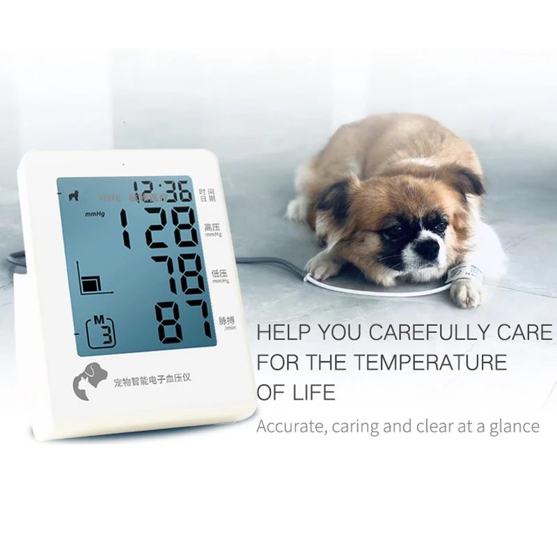 

Veterinary Pet Use Vet Sphygmomanometer Blood Pressure Monitor Machine