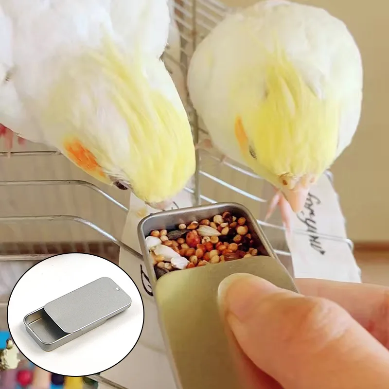 Parrot Training Balancing Bike Toy Interactive Row Roller Bird Cage Cockatiels Birds Sports Supplies