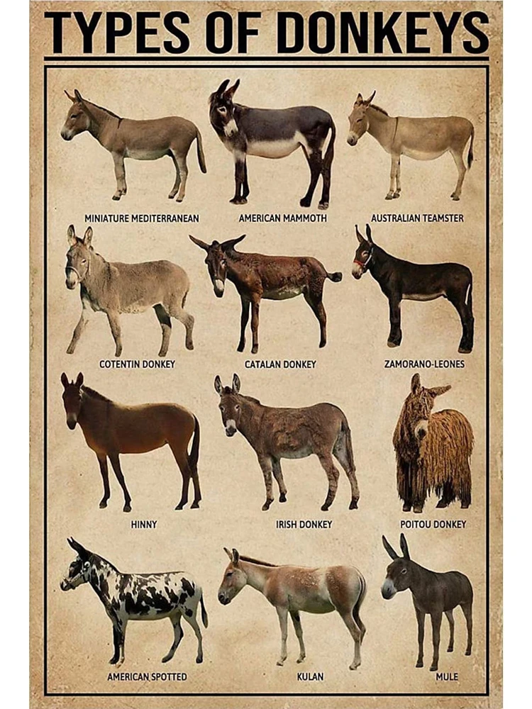 

Картина на холсте "Винтажные типы пчелиных пород"