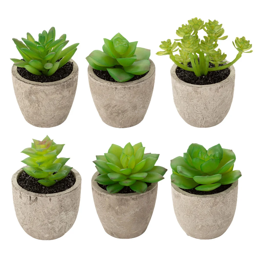 

3 Pcs Small Artificial Plants Succulent Basin Simulation Pot Touch 5.9*5cm Pots