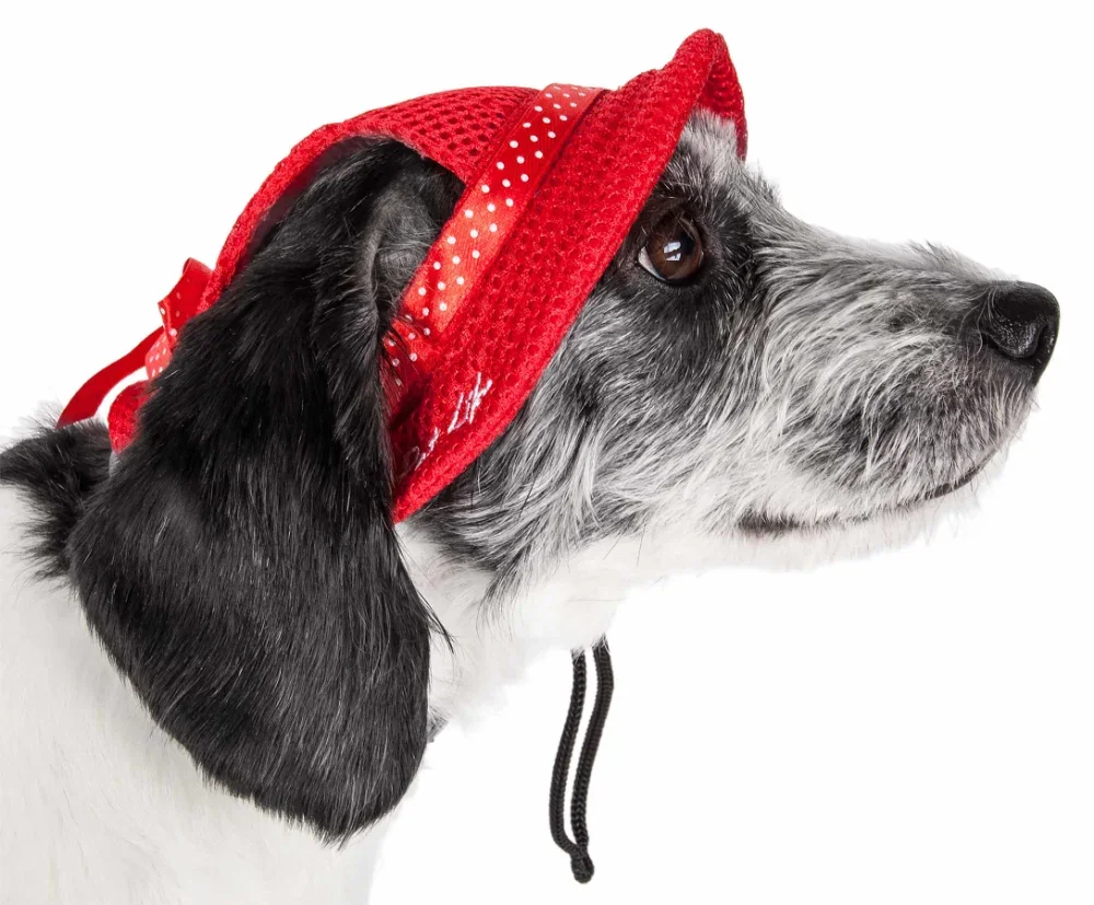 

Pet Life Uv Protectant Adjustable Fashion Mesh Brimmed Dog Hat Cap