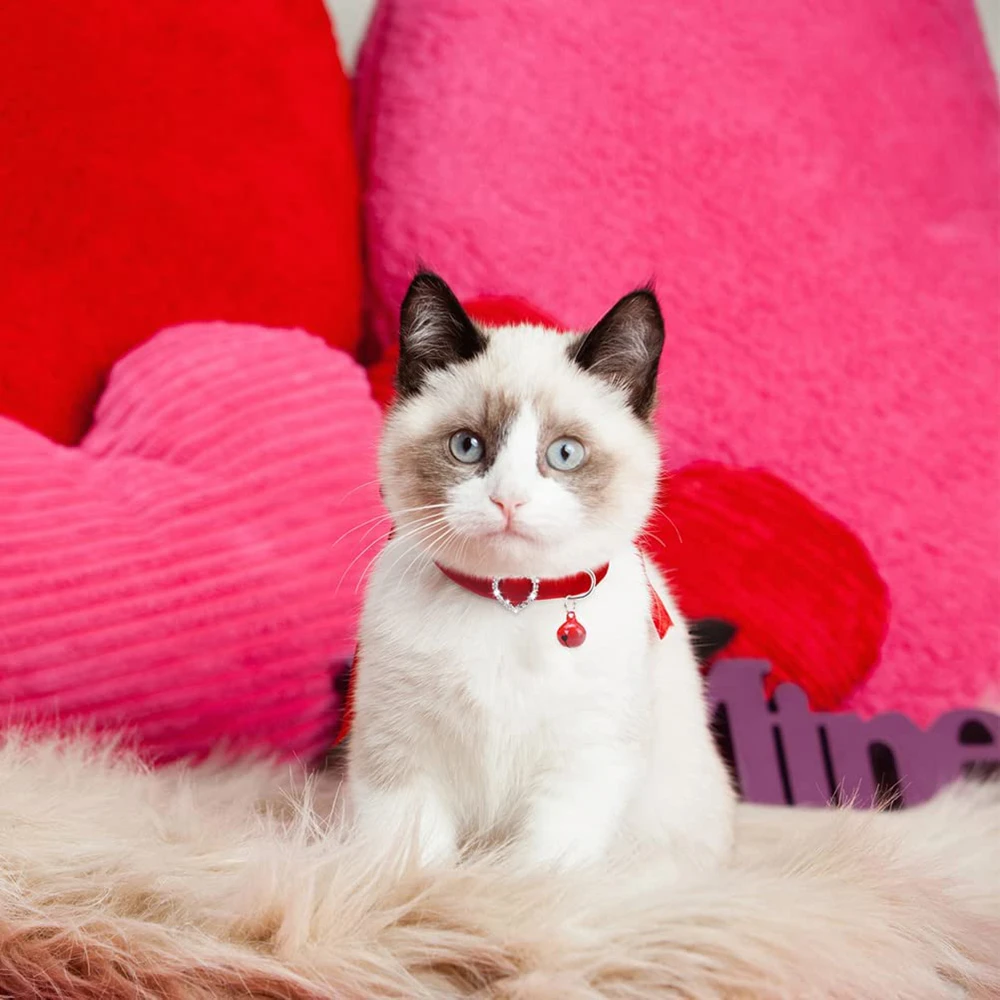 Ошейник на День святого Валентина с колокольчиком розовый мягкий Флокированный