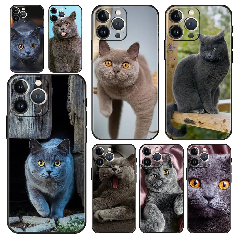 

British shorthair cat Luxury Phone Case For iPhone 13 Mini 14 12 11 Pro MAX XR X SE XS 7 8 Plus Silicone Black Protection Cover