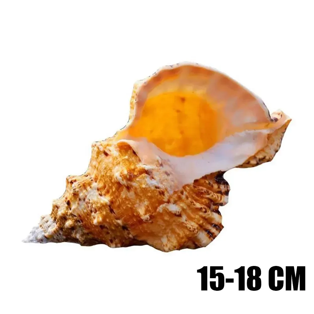 

Декоративные фигурки из раковин