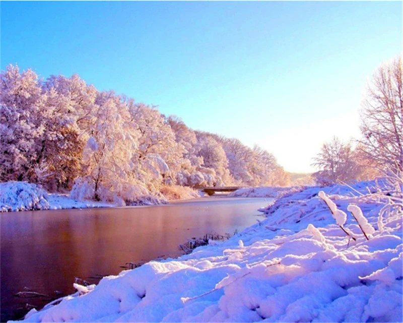 

No.101 Painting By Numbers DIY Oil Coloring Paint By Numbers Set Gift Drawing By Numbers Canvas Decor New Arrivals