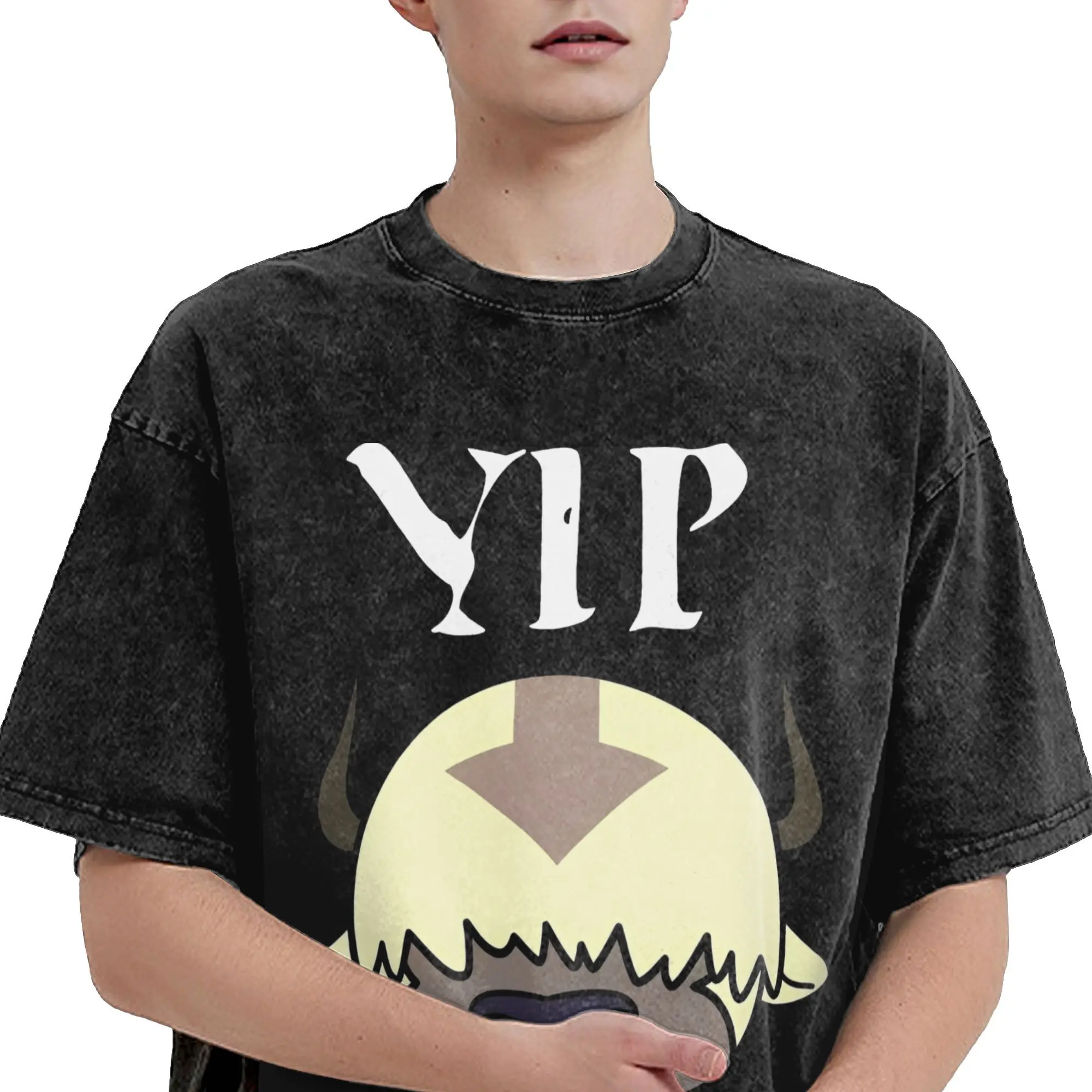 Промытые футболки Yip Appa Avatar-The Last Airbender винтажные в стиле хип-хоп уличная одежда