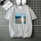 Мужская футболка с принтом очень странные Альпы